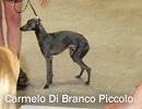 Carmelo di Branco Piccolo, pro zvětšení klikněte